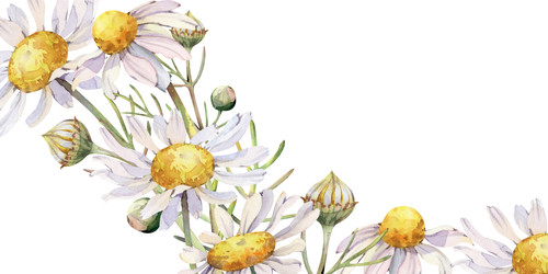 Similar image 22619688