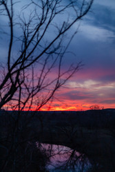 Similar image 22619988