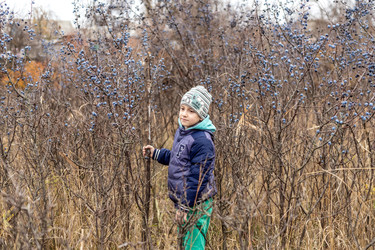 Similar image 22619999