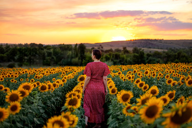 Similar image 22620002