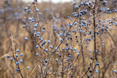 Similar image 22620013