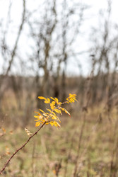 Similar image 22620015