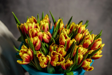 Similar image 22620017