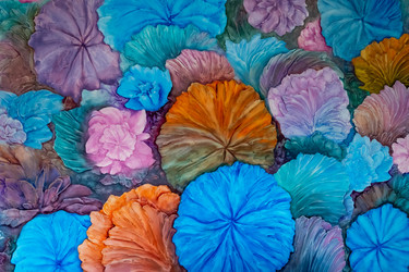 Similar image 22620031