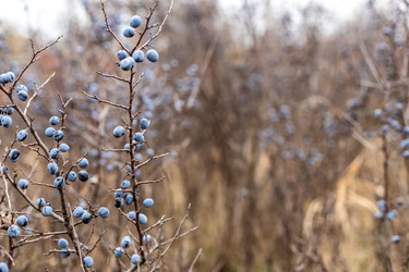 Similar image 22620044