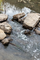 Similar image 22620046