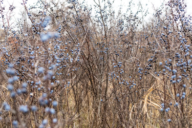 Similar image 22620048