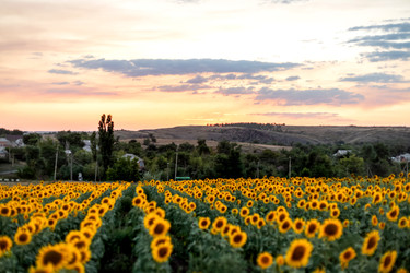 Similar image 22620060