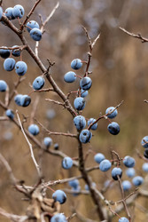 Similar image 22620062