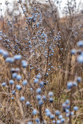 Similar image 22620063