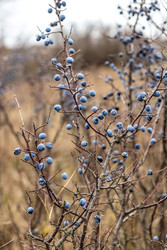 Similar image 22620078