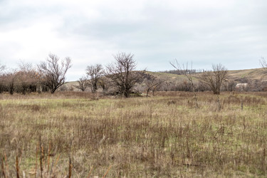 Similar image 22620123