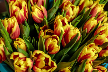 Similar image 22619774