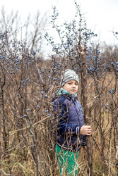 Similar image 22619776