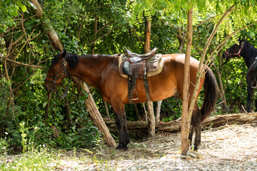 Similar image 22619777