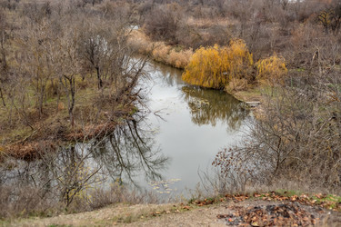 Similar image 22619778