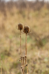 Similar image 22619790