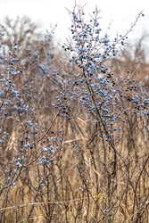 Similar image 22619793