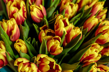 Similar image 22619805