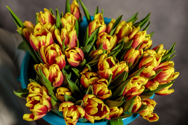 Similar image 22619821