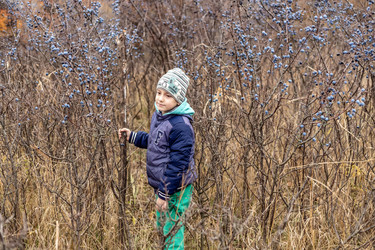 Similar image 22619822