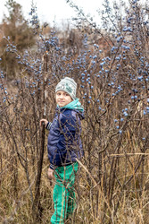 Similar image 22619852