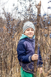 Similar image 22619864