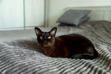 Similar image 22619880