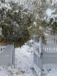 Similar image 22618244