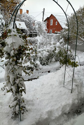 Similar image 22618246