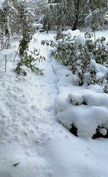 Similar image 22618247