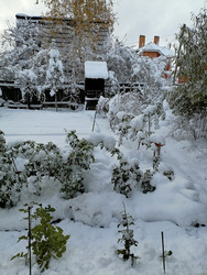 Similar image 22618250