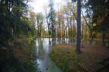 Similar image 22619297