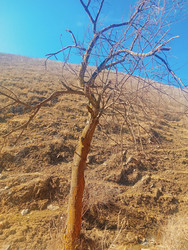 Similar image 22638262