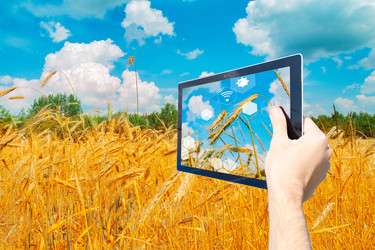 Similar image 22622804