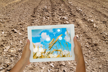 Similar image 22622849