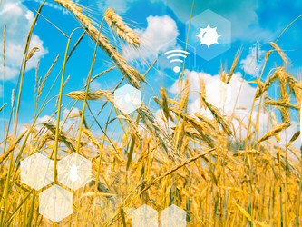 Similar image 22622863