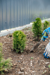 Similar image 22618625