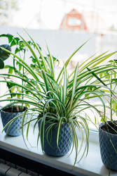 Similar image 22618628