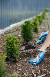 Similar image 22618632