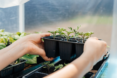 Similar image 22618585