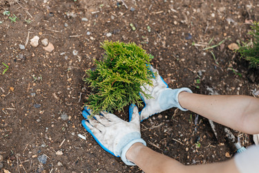 Similar image 22618595