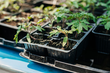 Similar image 22618611