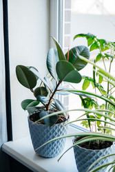 Similar image 22618612