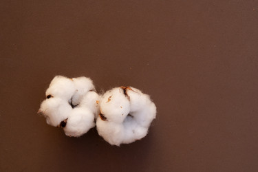 Similar image 22622727