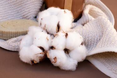 Similar image 22622789