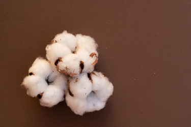 Similar image 22622935