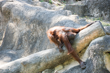 Similar image 22619734