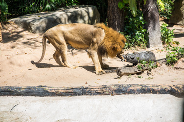 Similar image 22619151