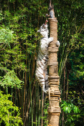 Similar image 22619427